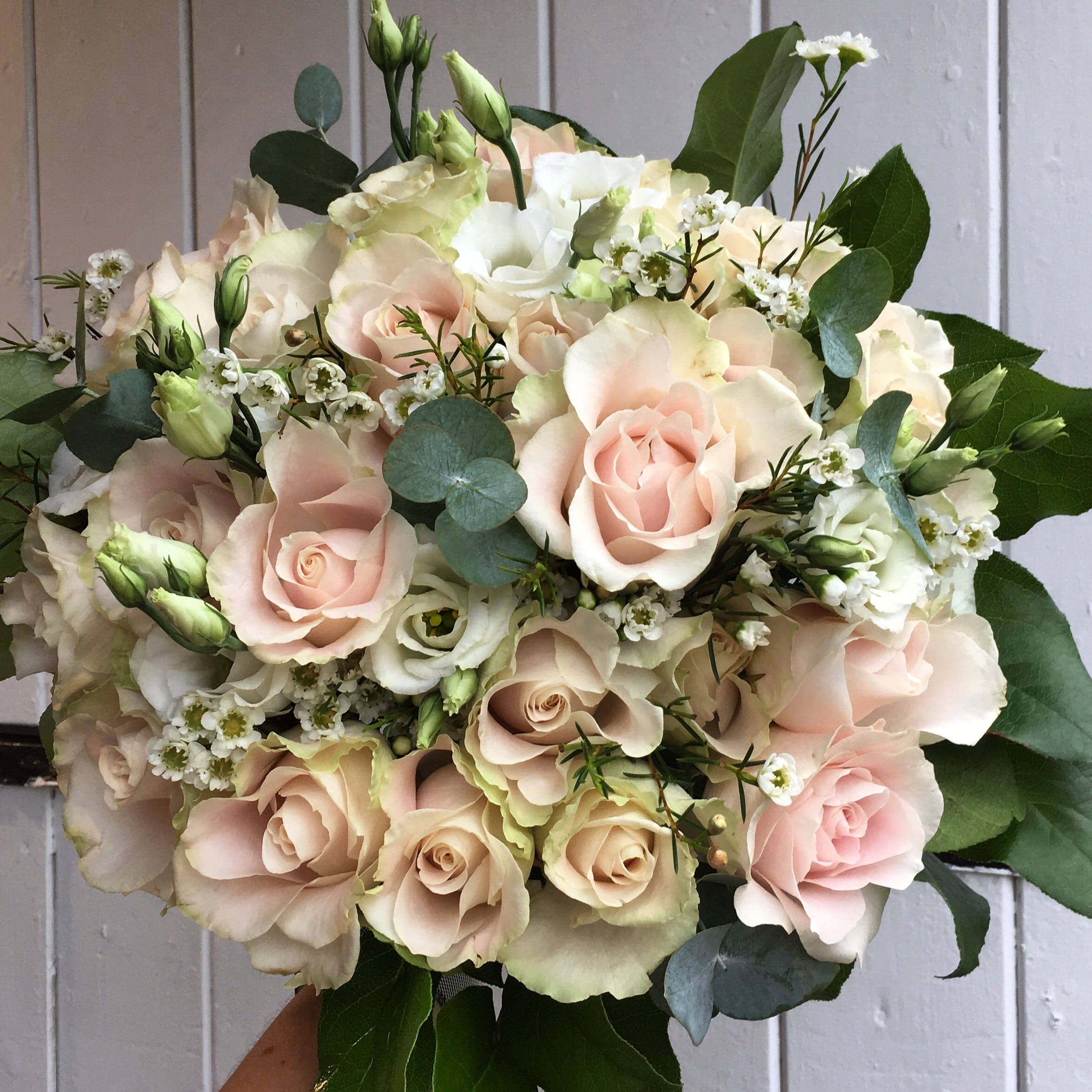 bridal bouquet filled with blush pink avalanche roses, waxflower, lisianthus and eucalyptus